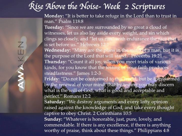 Rise above the noise: week 2