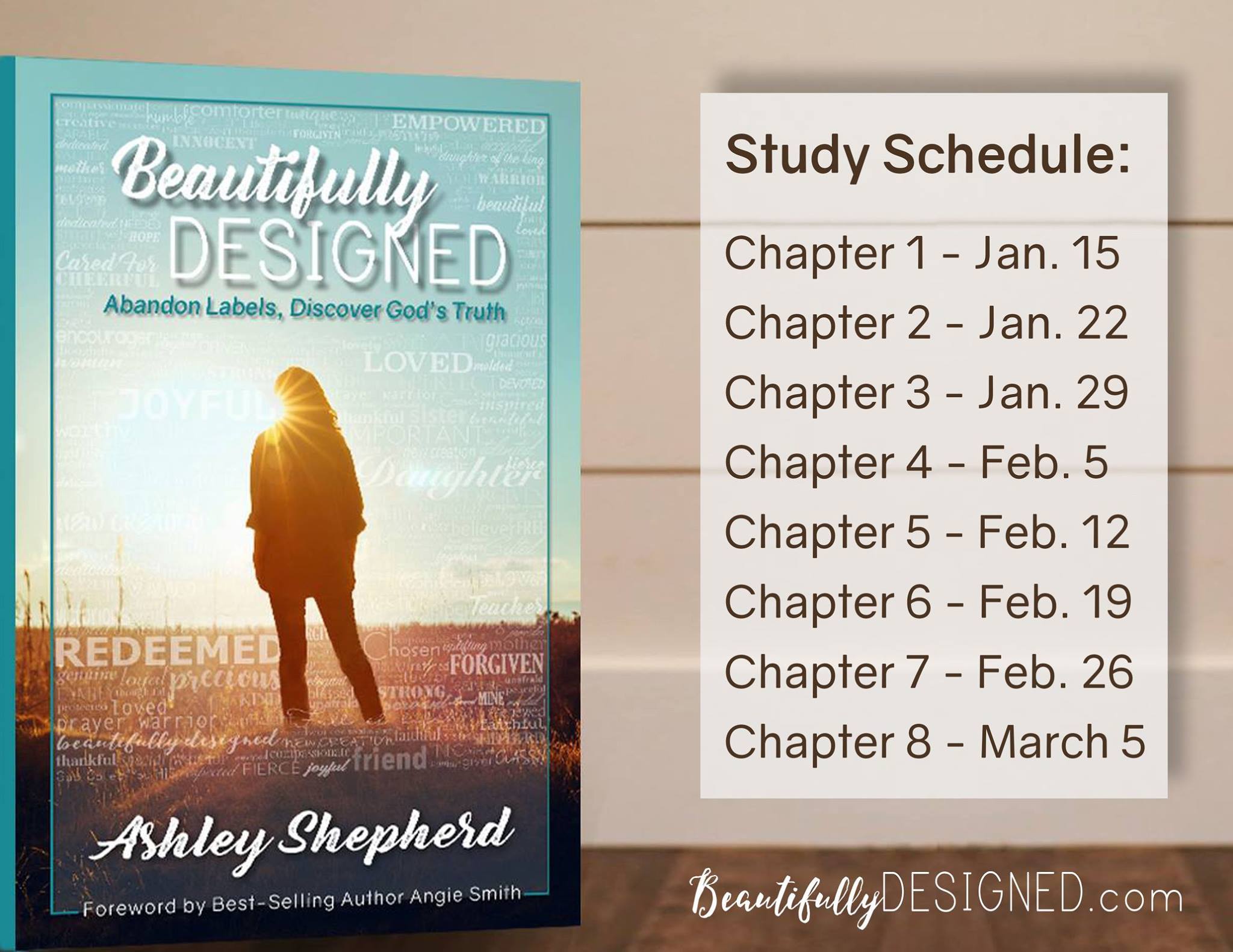 Beautifully Designed study schedule